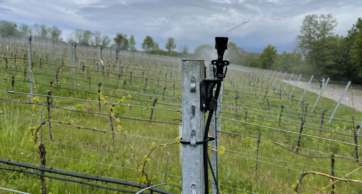 Frostschutz-Beregnung im weinbau